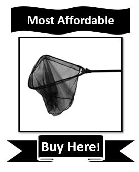 Most Affordable Frabill Fishing Net for Walleye - Frabill Tangle-Free Folding Net